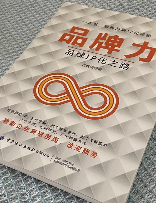 大IP品牌研究文献的核心议题是什么？-图2