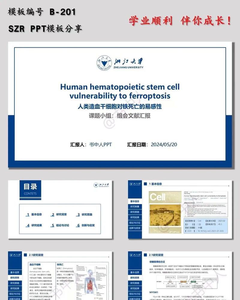 研究生论文总结ppt-图2