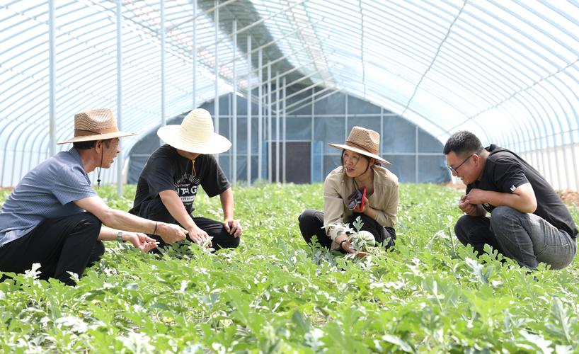 调研研究表现如何衡量与提升？-图2