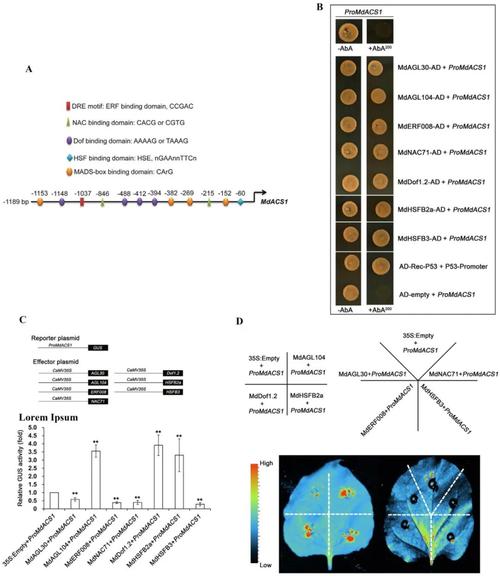 Lucene参考文献有哪些经典资源？-图2