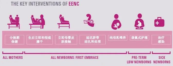 助产教育班会如何提升实践能力?-图3 助产教育班会如何提升实践能力?-图3