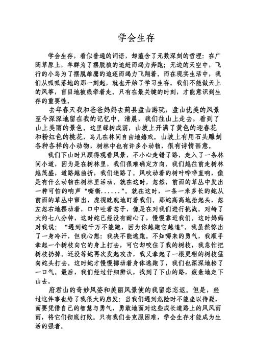 生存教育如何助我们应对人生风雨？-图1