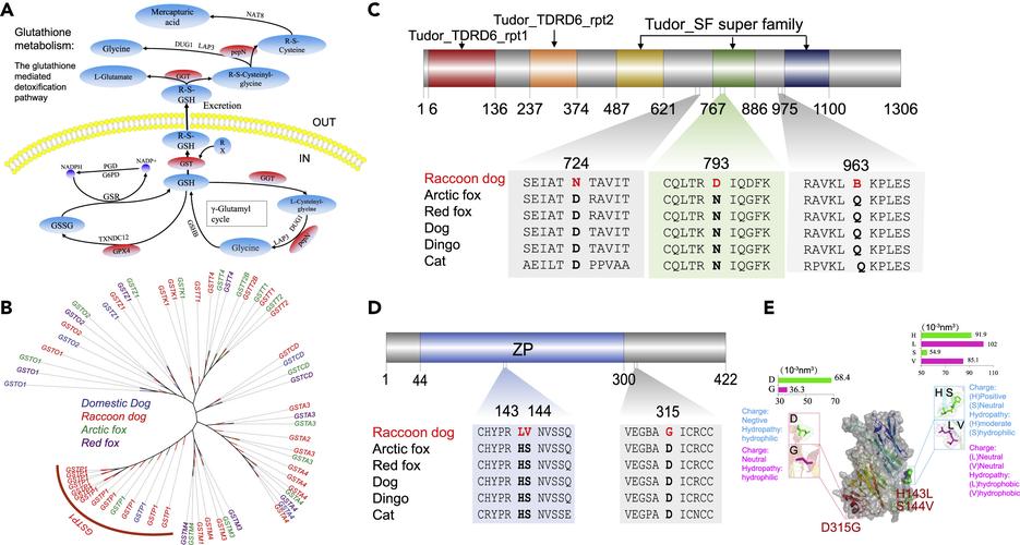 计算机图形学参考文献有哪些经典著作？-图3
