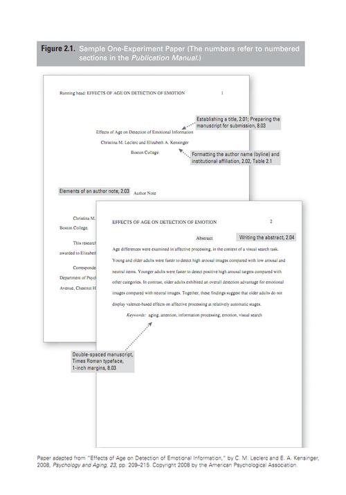 英文参考文献APA格式怎么写？-图2