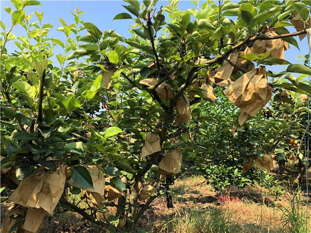 生态旅游扶贫研究现状-图2