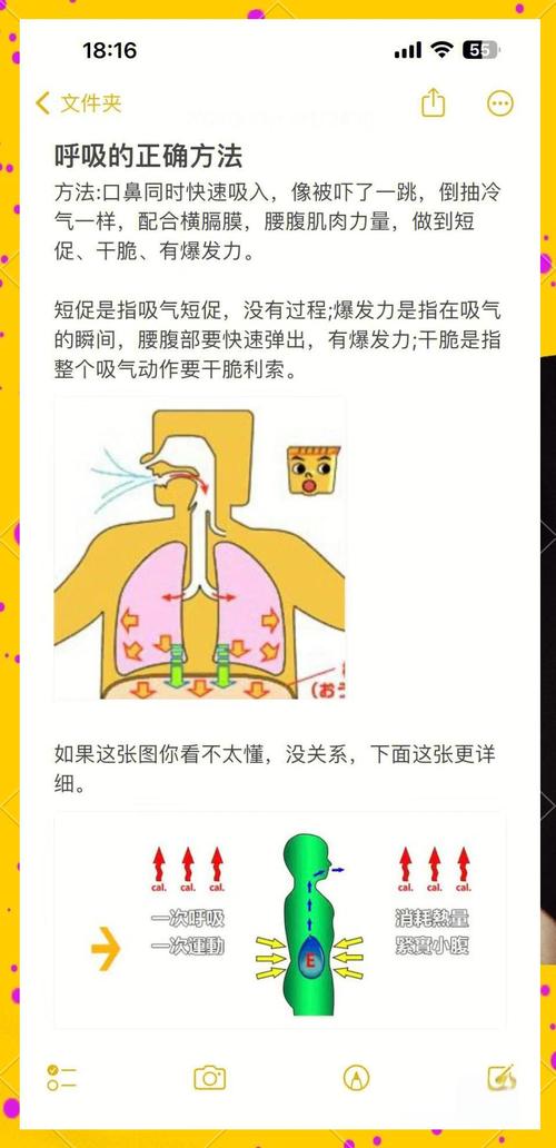 歌唱气息研究方法有哪些关键点?-图1 歌唱气息研究方法有哪些关键点?-图1