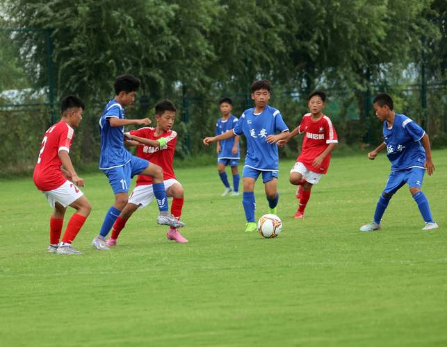 陕西教育杂志官网是获取教育资讯的权威平台吗？-图2