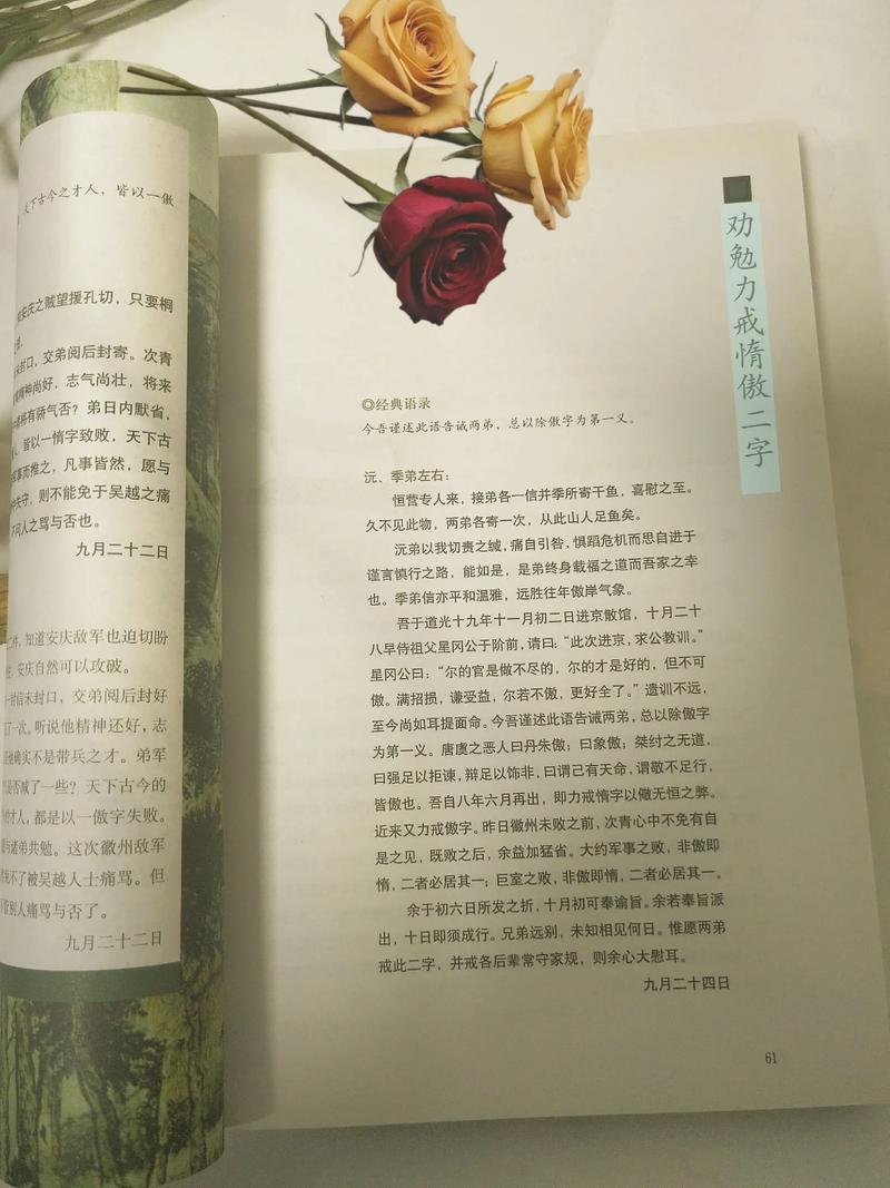 曾国藩教育思想核心是什么?-图2 曾国藩教育思想核心是什么?-图2