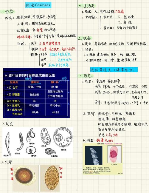 寄生虫课外书参考文献有哪些推荐？-图3