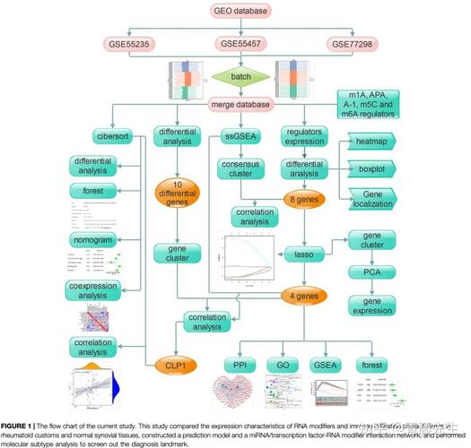 英文研究背景与过程具体指什么？-图3