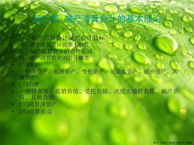 国外绿色会计理论研究的核心是什么?-图1 国外绿色会计理论研究的核心是什么?-图1