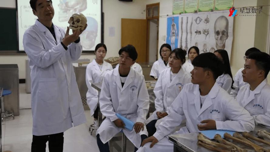 数字解剖研究中的应用-图1 数字解剖研究中的应用-图1