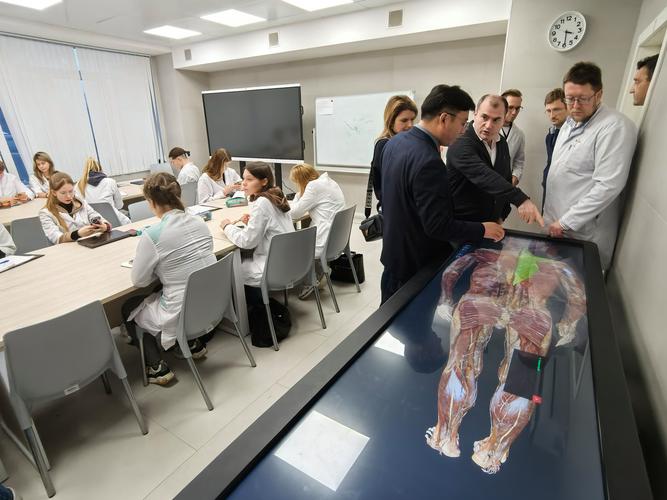 数字解剖研究中的应用-图3 数字解剖研究中的应用-图3