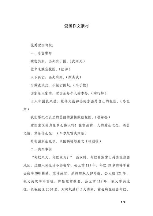 大学生爱国的参考文献-图2
