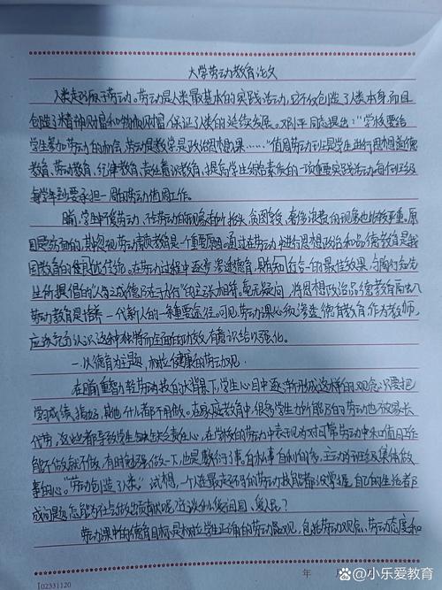 大学劳动实践教育论文-图1