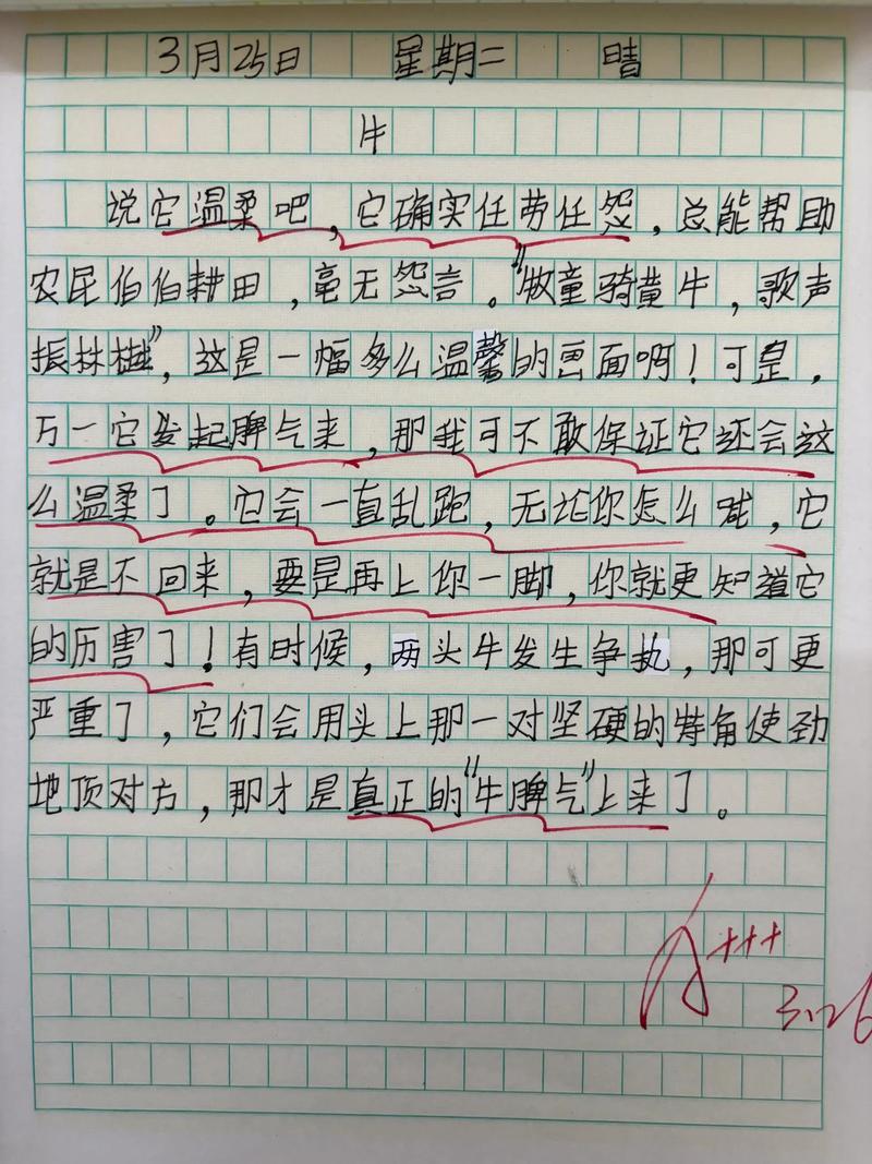 小练笔如何有效促进课堂生成？-图2