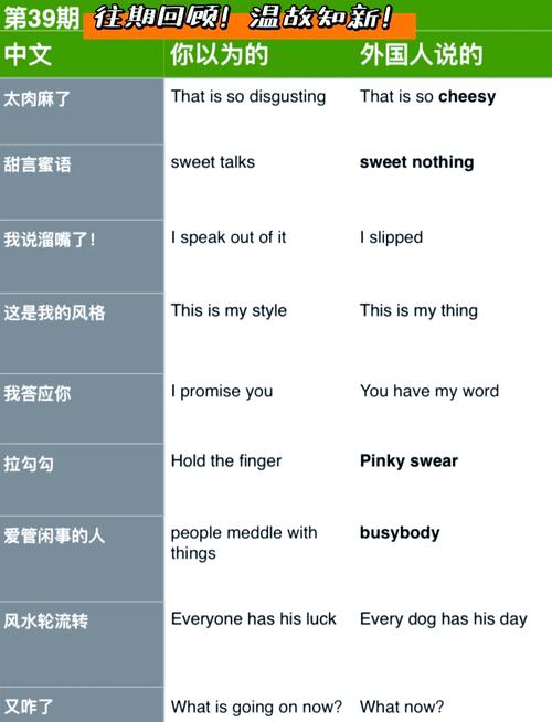 中西教育差异英文比较的核心差异是什么？-图3