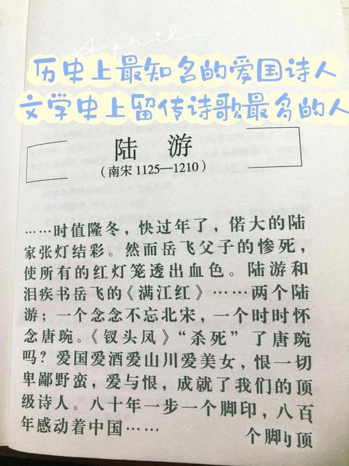 陆游爱国诗有哪些核心参考文献?-图3 陆游爱国诗有哪些核心参考文献?-图3