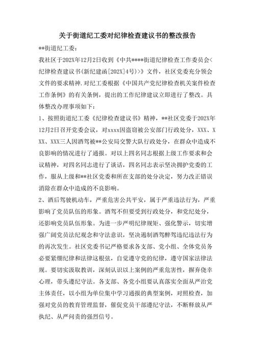 纪律教育自查整改汇报-图2