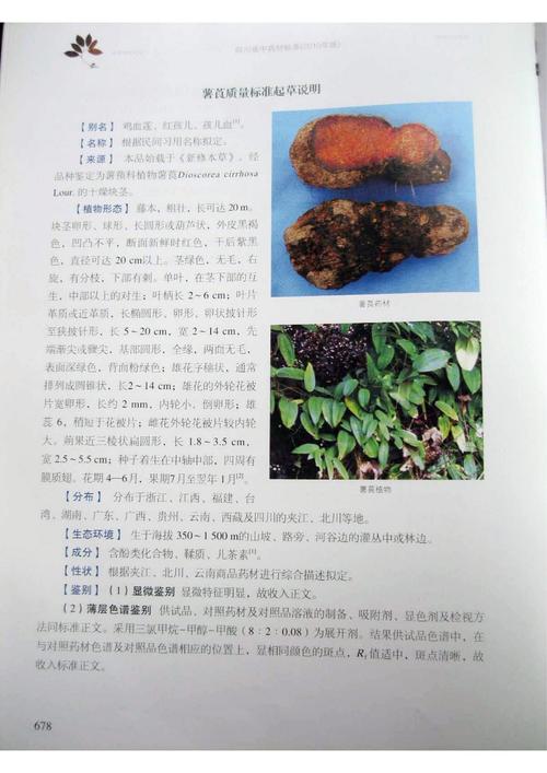 新奇特农产品有哪些参考文献值得参考?-图1 新奇特农产品有哪些参考文献值得参考?-图1