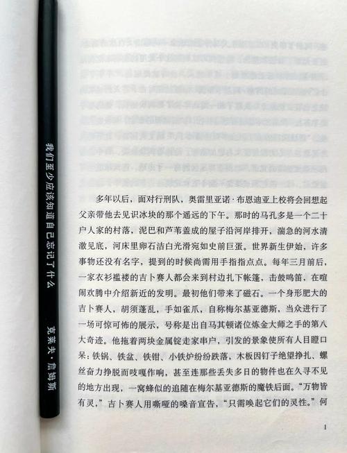 百年孤独论文参考文献有哪些经典来源?-图1 百年孤独论文参考文献有哪些经典来源?-图1