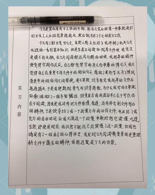 乡村教育实践报告范文有哪些要点？-图2