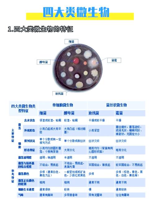 菌物研究所为何重要？-图2