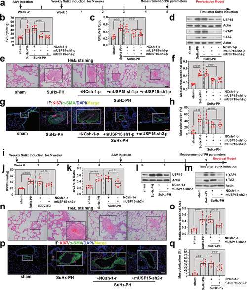 分析化学研究简报期刊有何最新进展？-图2