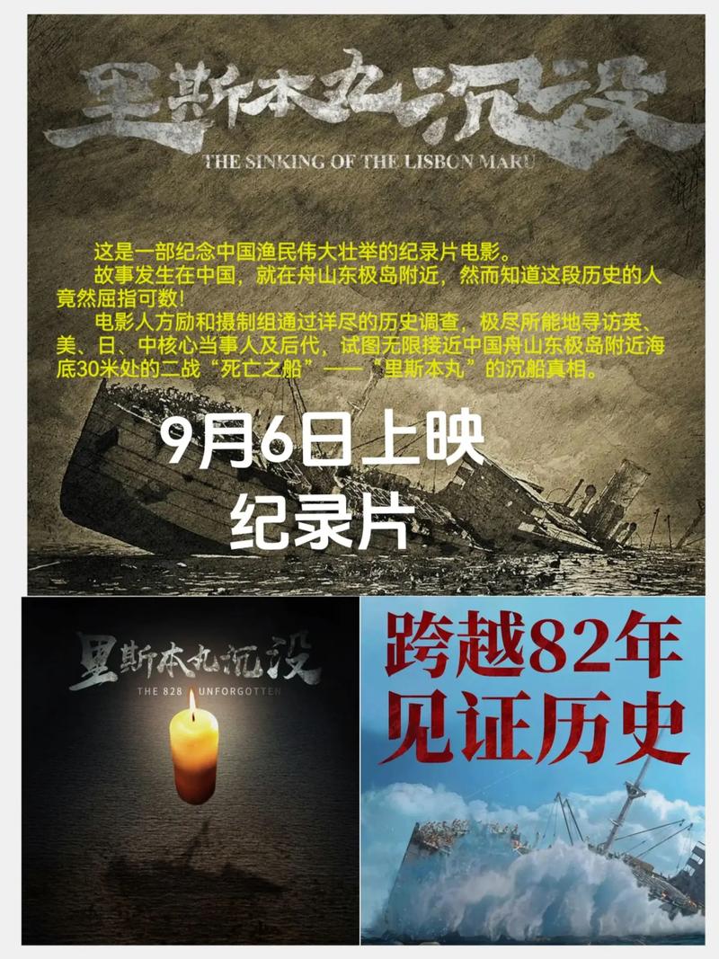 纪录片真实性参考文献可信度如何？-图3