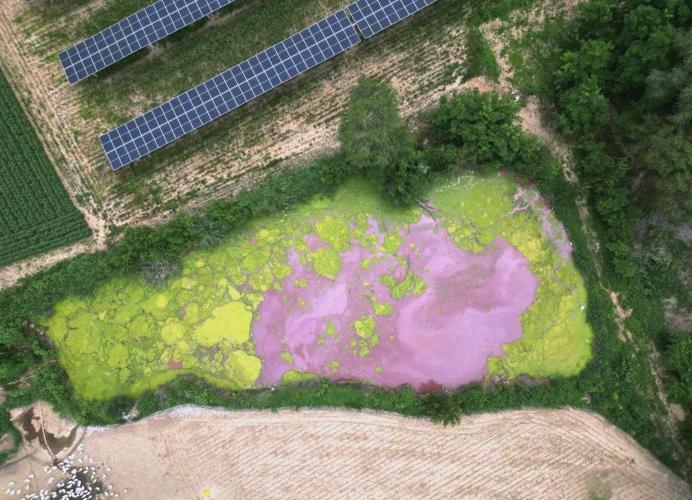 乡村环境污染现状如何?-图3 乡村环境污染现状如何?-图3