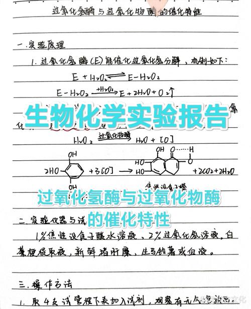 酶的参考文献有哪些经典文献？-图3