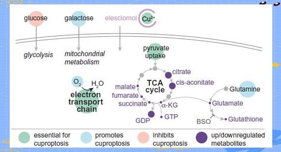 论文如何解读死亡主题的多维内涵？-图2