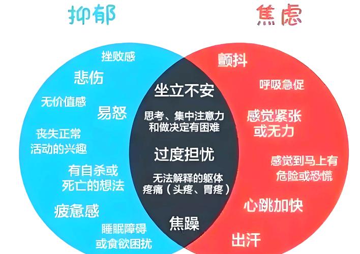 焦虑研究存在哪些核心问题?-图2 焦虑研究存在哪些核心问题?-图2