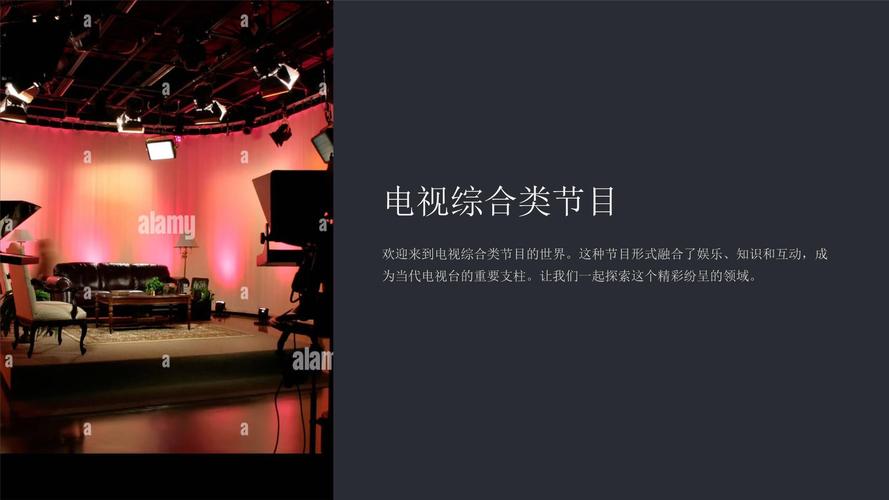 电视娱乐节目文化研究-图1 电视娱乐节目文化研究-图1